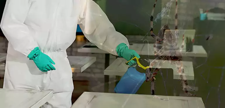 Why Buyers Still Want Homes With Pest Infestations in Providence, RI?