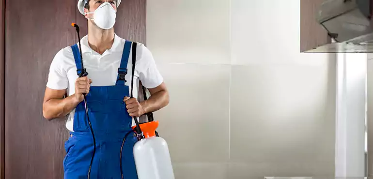 Why Providence Homeowners Choose Us When Pests Make Selling Difficult